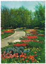 Postcard Walkway Path Lined With Tulips Holland Netherlands - £3.10 GBP