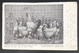 Antique 1908 Union Lock Poultry Fence Chicken Advertising Postcard Dekalb IL - £9.58 GBP