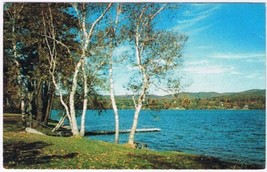 Postcard Greetings From Keswick Ontario Silver Birches Blue Sky Early Autumn - $4.94