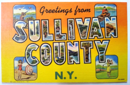 Greetings From Sullivan County New York Large Letter Postcard Linen Curt Teich - £72.78 GBP