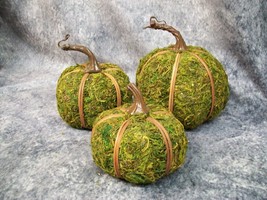 Set of 3 Moss Pumpkins Halloween Decor Mossy Woodland Earthy Jack o Lanterns NEW - £14.91 GBP