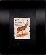 Tchotchke Framed Stamp Art - Wildlife - Majestic Kasmir Stag Deer - £6.10 GBP