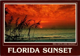 Vtg Postcard Sea Oats and Sunset, Fabulous Florida Sunset - £5.06 GBP