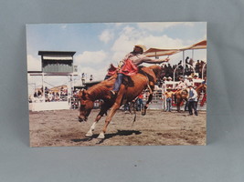 Vintage Postcard - Calgary Stampede Bronc Horse Riding - Traveltime - £11.77 GBP
