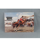 Vintage Postcard - Calgary Stampede Bronc Horse Riding - Traveltime - $15.00