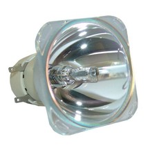 BenQ 5J.JAR05.001 Philips Projector Bare Lamp - £74.89 GBP