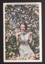 Beauty in Apple Blossoms Martinsburg, West Virginia WV Linen Postcard c1950s - £11.95 GBP