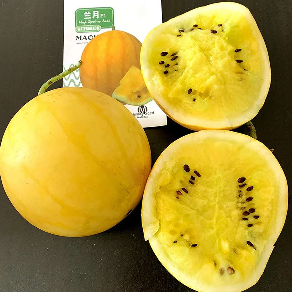 5 Bags (20 Seeds / Bag) golden Baby Watermelon Seeds ZZ-1677 - £24.44 GBP