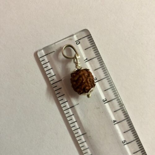 Lab Certified 925 Silver + 5 Mukhi RUDRAKSHA Panchmukhi Rudraksh 5 Face Pendant Item image 6
