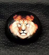 Lion Paper weight Glass Globe Hemisphere  Table Decor approx 2.5" - $7.96