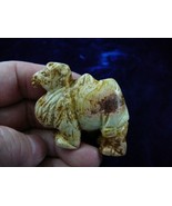 (Y-CAM-702) CAMEL camels gemstone TAN BROWN picture jasper carving FIGURINE - $327.08 MXN
