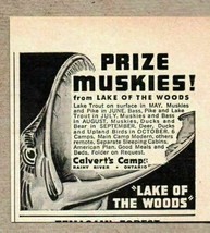 1955 Print Ad Calverts Camps Lake of the Woods Prize Muskies Rainy River... - £6.66 GBP