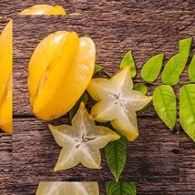 Star Fruit (Averrhoa Carambola) Live Fruit Tree 12”-24” - £60.75 GBP