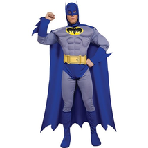 Batman The Brave And The Bold Halloween Costume Large - £46.73 GBP