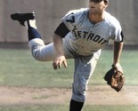 DENNY McLAIN 8X10 PHOTO DETROIT TIGERS PICTURE BASEBALL MLB ON MOUND - £3.93 GBP