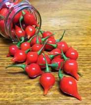Best 25 Seeds Biquinho Red Pepper Heirloom Seeds - Capsicum chinense var... - £3.84 GBP