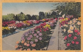 Dahlia Garden Lambert Gardens Portland Oregon OR 1955 Postcard C55 - £2.35 GBP
