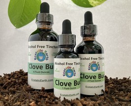 Clove Bud Tincture - Alcohol Free Syzygium aromaticum Extract - Cold Cured - £11.76 GBP+