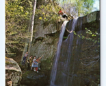 Rock Bridge Canyon Mills Falls Hodges Alabama AL UNP Chrome Postcard F18 - $3.91