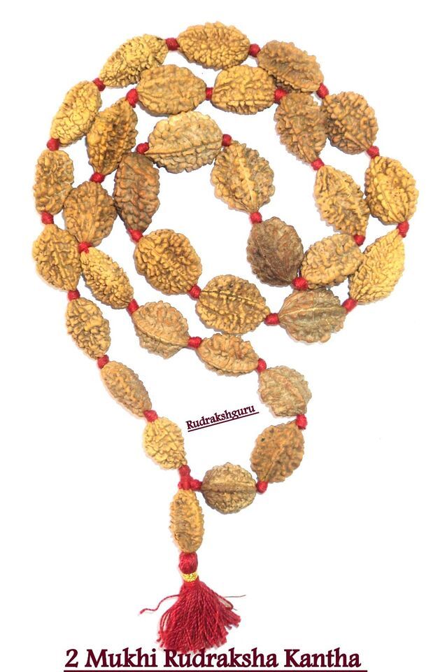 2 Mukhi Rudraksh Kantha / Ardhnarishwar Siddha Mala - 33 Beads - $79.32