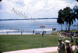 1954 Water Skiing Girls Cypress Gardens Red-Border Kodachrome Slide - £3.11 GBP