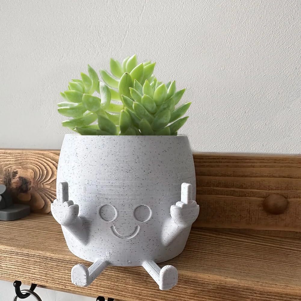 Smiling Plant Pot With Middle Fingers Up, Flower Pots For Succulents, Funny - $29.99