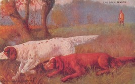 The Open SEASON-HUNTING-SETTER Dogs POINT-1900s Artist Postcard - £7.14 GBP