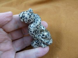 Y-CHE-720) Spotted Dalmatian stone CHEETAH gemstone I love wild CATS cat... - $24.99