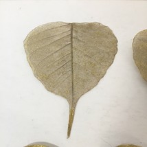 16 Gold Colour Skeleton Leaves Crafting Art Nature Inspiration Banyan Leaf - $8.90