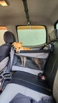 Dog Car Seat Half Rear Pet Travel Dog Carrier Safety Harness Seat Belt Grey New - £55.04 GBP