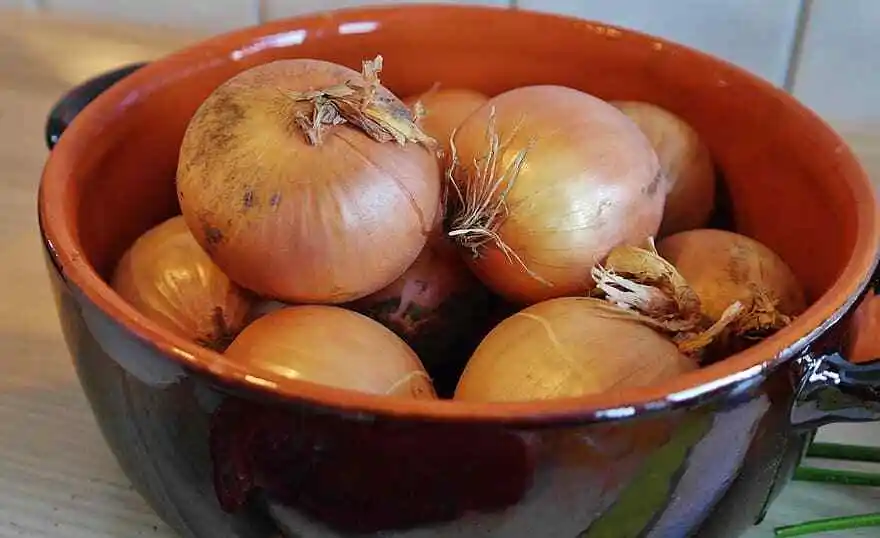 Walla Sweet Onion 300 Seeds - $9.80