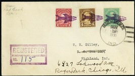 Red Fish, MS Fish in Purple Fancy Cancels On Registered Cover - $300.00