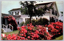 1955 Roses Cape Cod Chatham house Massachusetts Postcard - £2.36 GBP