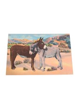 Postcard Romance On The Desert California 2 Donkeys Linen Unposted - €6,09 EUR