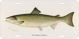 SHERMAN DENTON FISHES NORTH AMERICA ATLANTIC SALMON CAR METAL LICENSE PLATE - £11.86 GBP
