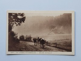 Cows Eating Vosges France Morning Mist Vintage Postcard Carte Postale Braun - £10.66 GBP