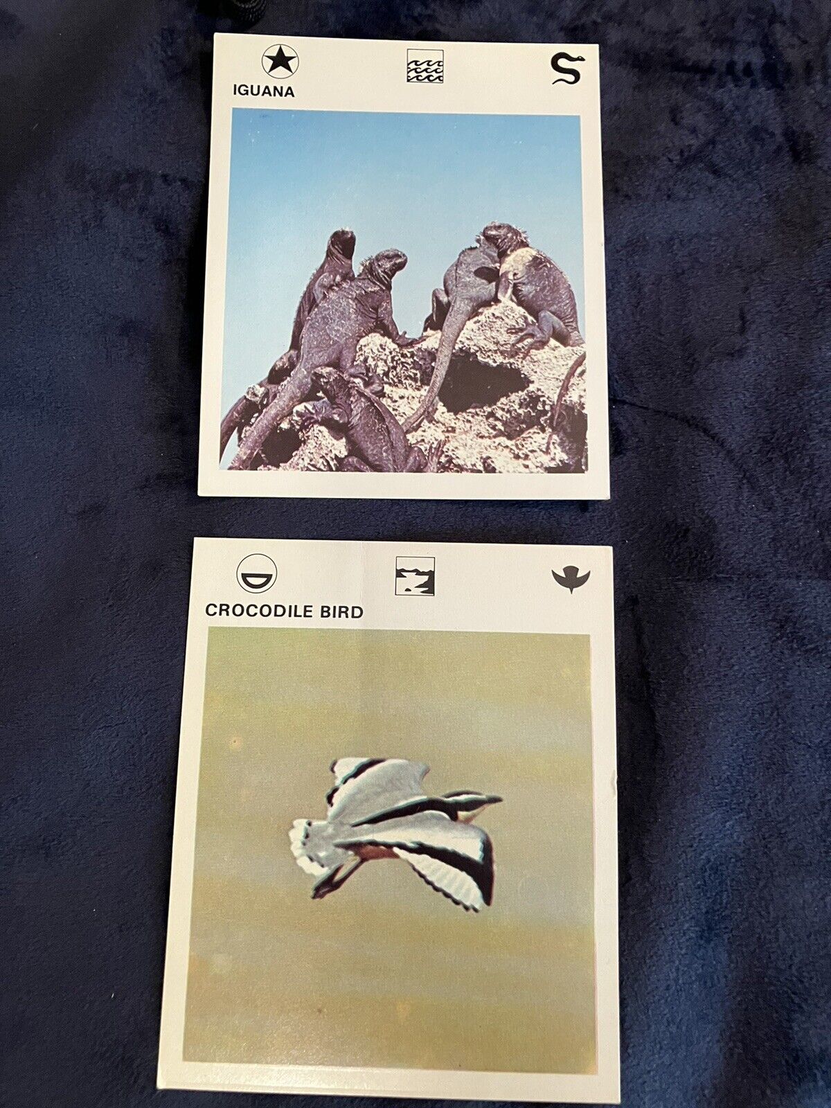 2 ANIMAL CARDS  FROM 1975 LEISURE BOOKS SET  CROCODILE BIRD and IGUANA - $1.95