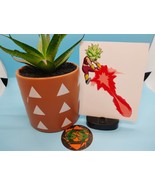 (4.5 Inches) Dragon Ball Z - Kelfa (Attacking) Water-Resistant Vinyl Sti... - $8.13 CAD