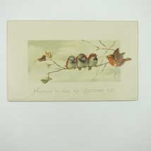 Victorian Christmas Card Hildesheimer &amp; Faulkner Birds on Tree Branch An... - $5.99