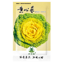 SL 4000Pcs Yellow Heart Pak Choi Seeds Chinese Cabbage Bokchoy Napa Cabb... - £2.12 GBP