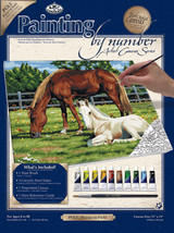 Paint By Number Kit Artist Canvas Series 11&quot;X14&quot; Horses In Field - £14.86 GBP