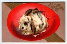 Easter Postcard Seated Bunny Rabbit Painted Egg H I Robbins Boston Embossed - £10.43 GBP