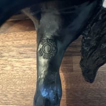 Item image 9