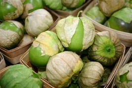 1 Pack 600 Green Tomatillo Seeds Physalis Ixocarpa Cape Gooseberry - £5.92 GBP