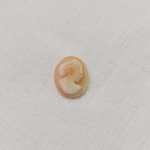 Antique Vintage Miniature Carved Shell Cameo Unset Loose Tiny 8mm × 11mm - £12.81 GBP