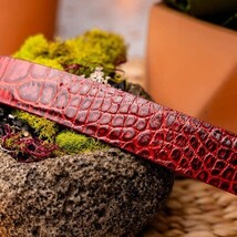 Emilio Genuine Exotic Alligator Belt Antique Red image 5