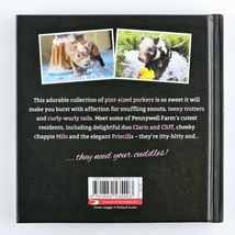 Teacup Pigs by Richard Austin Adorable Pet Pictures Small Hardcover Gift Book image 2