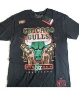Mitchell &amp; Ness Chicago Bulls 6x Champions T-Shirt Mens Size L Black Green - £36.91 GBP
