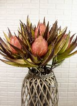 Set of 6 Realistic Artificial Botanica Faux Plants Thistle Fern Grass Le... - $182.03 CAD