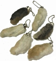 6 Real Natural Rabbit Feet Key Chains Bunny Fur Foot Lucky Rabbits Luck Charms - £13.96 GBP